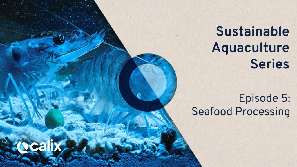 Sustainable aquaculture series – episode 5: Seafood Processing